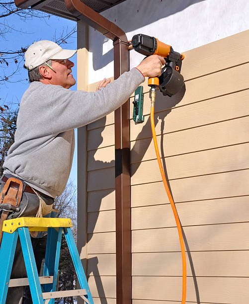 Best Siding Removal and Disposal  in Laingsburg, MI